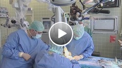 TeleHealth